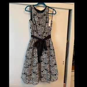 WHBM beautiful Black/White rose dress. Brand new.